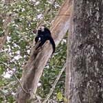 Photo taken by Roveen B