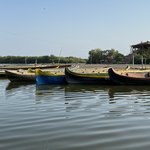 Photo taken by Todd M