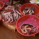 Photo taken by Ricky B