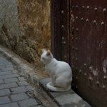 Photo taken by Lisa R