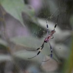 Photo taken by William R