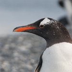 Photo taken by Douglas A