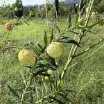 Photo taken by Cecilia M