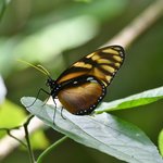 Photo taken by Graeme W