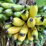 Photo taken by Erin K