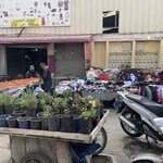 Photo taken by Hillel S