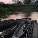 Photo taken by Wayne D