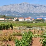 Photo taken by William R