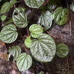 Photo taken by katie u