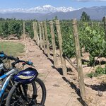 Photo taken by Paul P