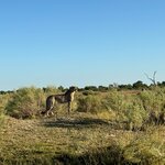 Photo taken by Chris K