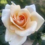 Photo taken by Mary R