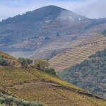 Photo taken by Laura R