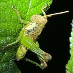 Photo taken by Robin W