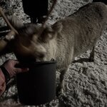 Photo taken by Ashley K