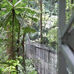 Photo taken by Joyce C