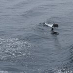 Photo taken by Joseph P