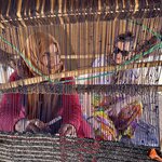 Photo taken by Jackie O