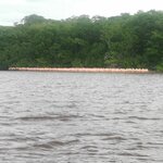 Photo taken by Wouter K