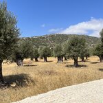 Photo taken by Martha L