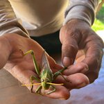 Photo taken by Heather L