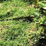 Photo taken by Sophie E