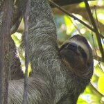 Photo taken by KLAUS A