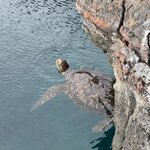 Photo taken by Maggie K