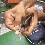 Photo taken by Emily H