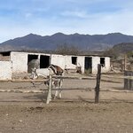 Photo taken by Graciela P