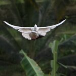 Photo taken by Uriah C