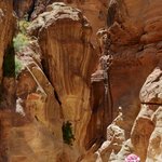 As we enter the Siq to leave the Petra Archaeological Park, the pathway in and out of the main entrance of Petra, the sun highlights the red in the sandstone rocks. Brad is in the lower right corner, wearing his keffiyeh to block the sun. | Photo taken by Rich W