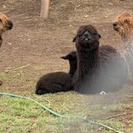 Photo taken by Alyssa R