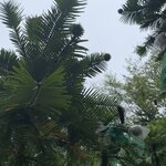 Photo taken by Julie H