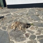 Photo taken by Kaisha S