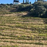 Photo taken by Sandy S