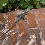 Photo taken by Alex V