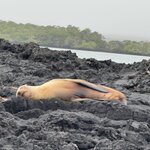 Photo taken by Gary W