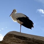 Photo taken by Leslie G