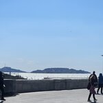 Photo taken by Kallie P