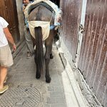 Photo taken by Paula H