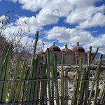 Photo taken by Pacita D