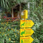 Photo taken by Sheila R