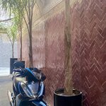 Photo taken by Paula F