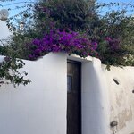 Photo taken by Paige M