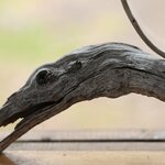 Photo taken by Eric T