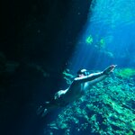 Photo taken by Elena R