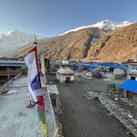 Photo taken by Willow K