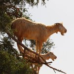 Photo taken by Jennifer H