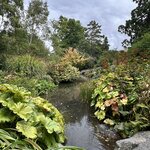 Photo taken by Lisa S